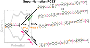 Observation of super-Nernstian proton-coupled electron transfer and elucidation of nature of charge carriers in a multiredox conjugated polymer