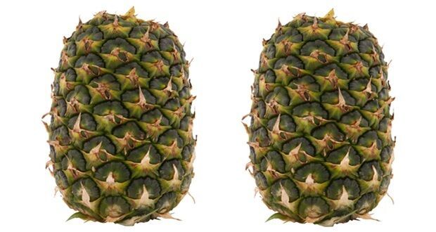 Crown-Free Pineapple Initiatives : crownless pineapples