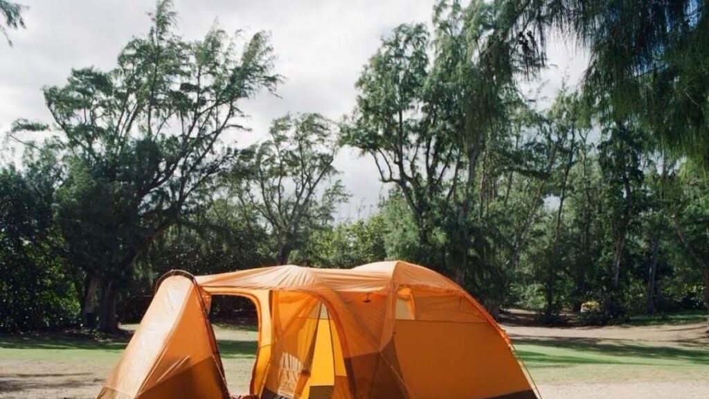 Our favorite tents for the 2024 summer camping season