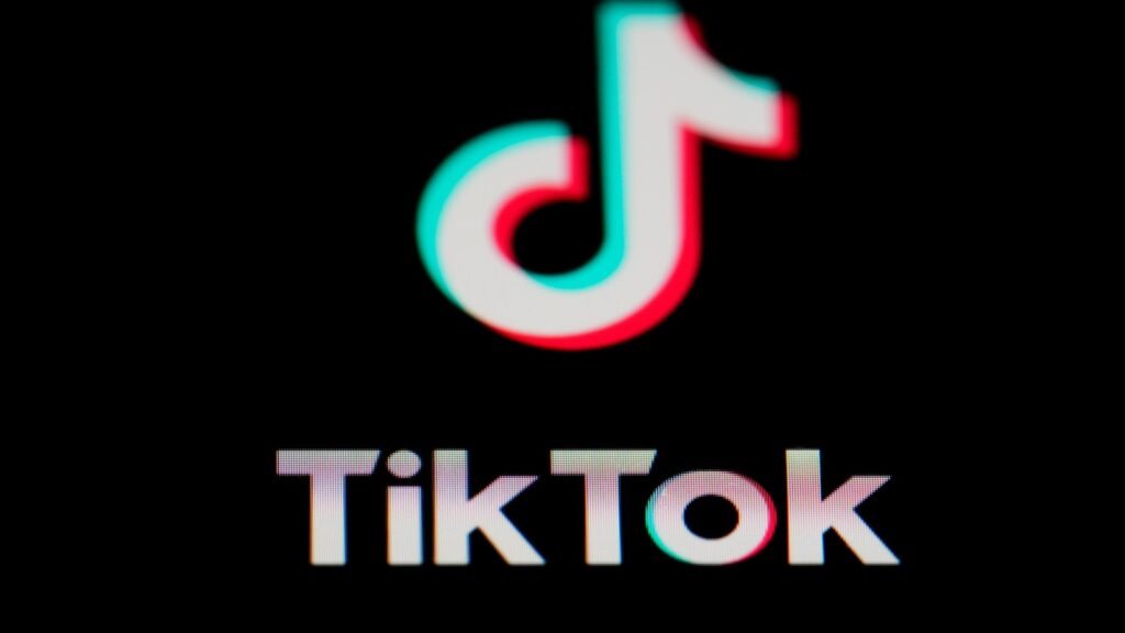 Justice Dept. claims TikTok collected US user views on issues like abortion and gun control