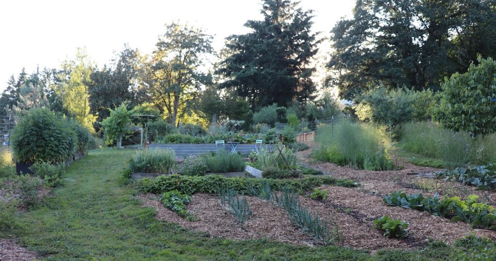 The No-Till Veggie Garden