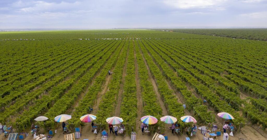 As heat rises, California reduces farmworker oversite