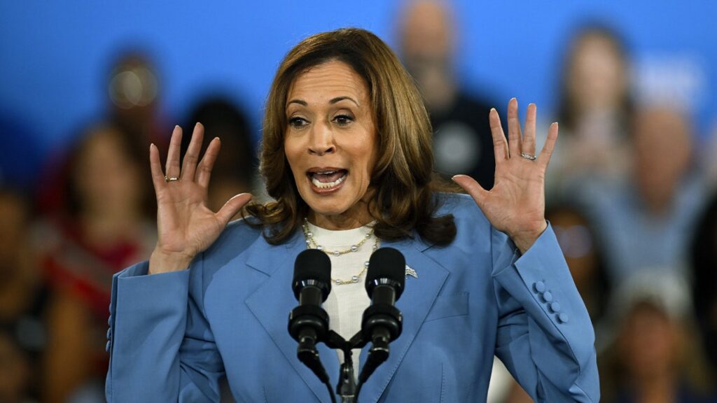 DNC delegate: Kamala Harris 'trusts the journalists to explain' her policies and values to American people