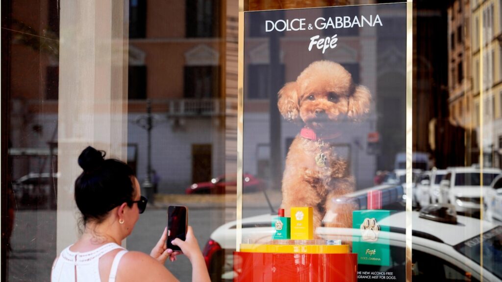 Dolce & Gabbana launches a new perfume for dogs, but some are skeptical