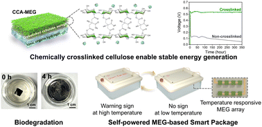 Environmentally sustainable moisture energy harvester with chemically networked cellulose nanofiber