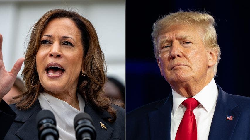 Harris takes 3-point lead over Trump as she gains on key issues: poll