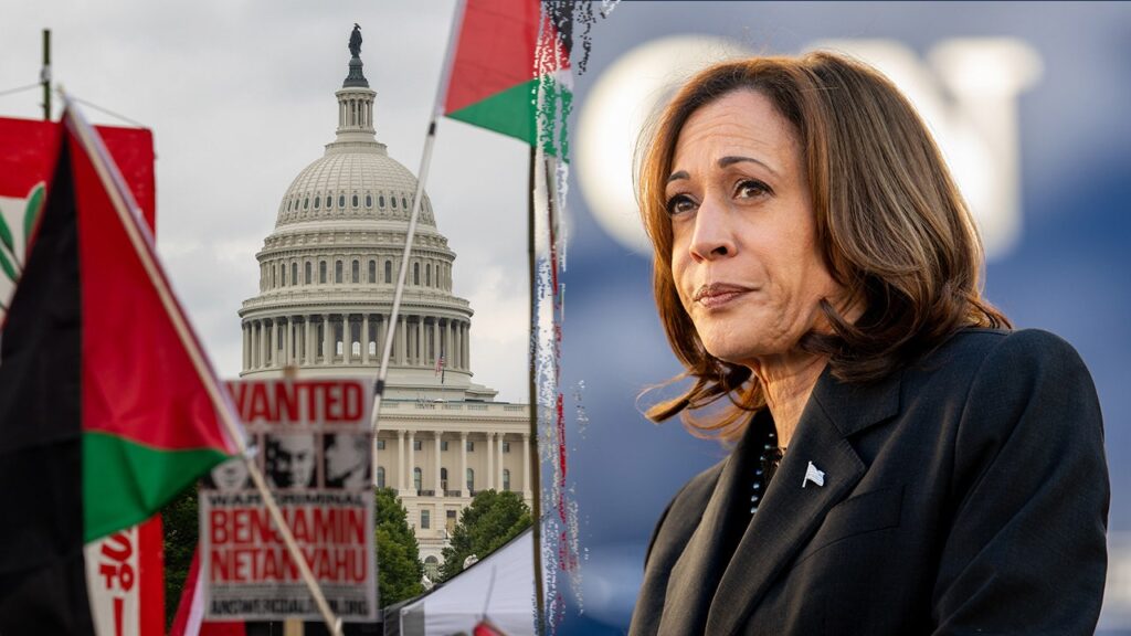 Harris voters defend Democratic presidential nominee on Israel-Hamas conflict: ‘She’s married to a Jewish guy’