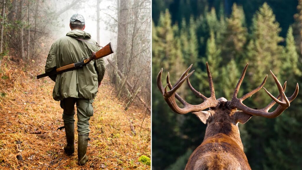 Hunter of beloved 'Hollywood Buck' in Virginia faces jail time, loses hunting license for 100 years