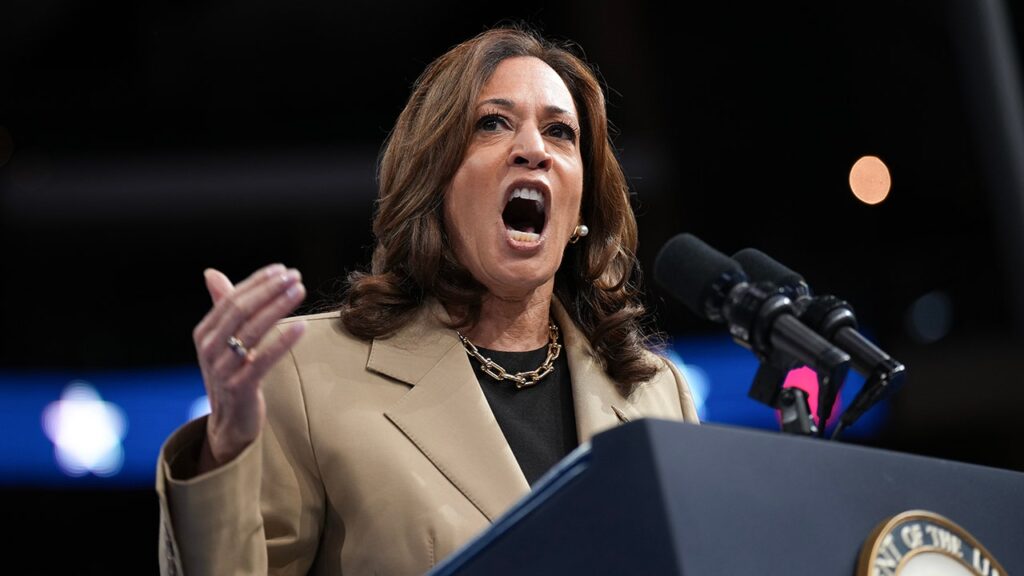 Kamala Harris stumbled as VP because she lacked proper 'infrastructure,' allies claim