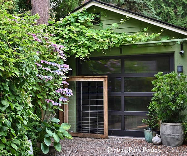 Nancy Heckler's hydrangea-colorful woodland garden