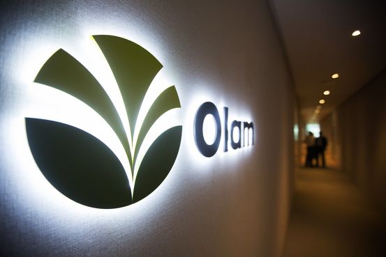 Olam Mulls Sale of Agri Business, May Delay Listing of Food Ingredients Unit