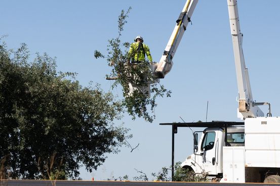 PG&E Is Racing to Stem Increasing Fires Ignited by Its Power Lines