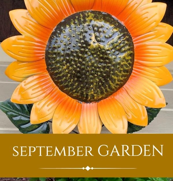 A GUIDE TO NORTHEASTERN GARDENING: Garden Bloggers' Bloom Day & Foliage Follow-Up September: The Changing Garden