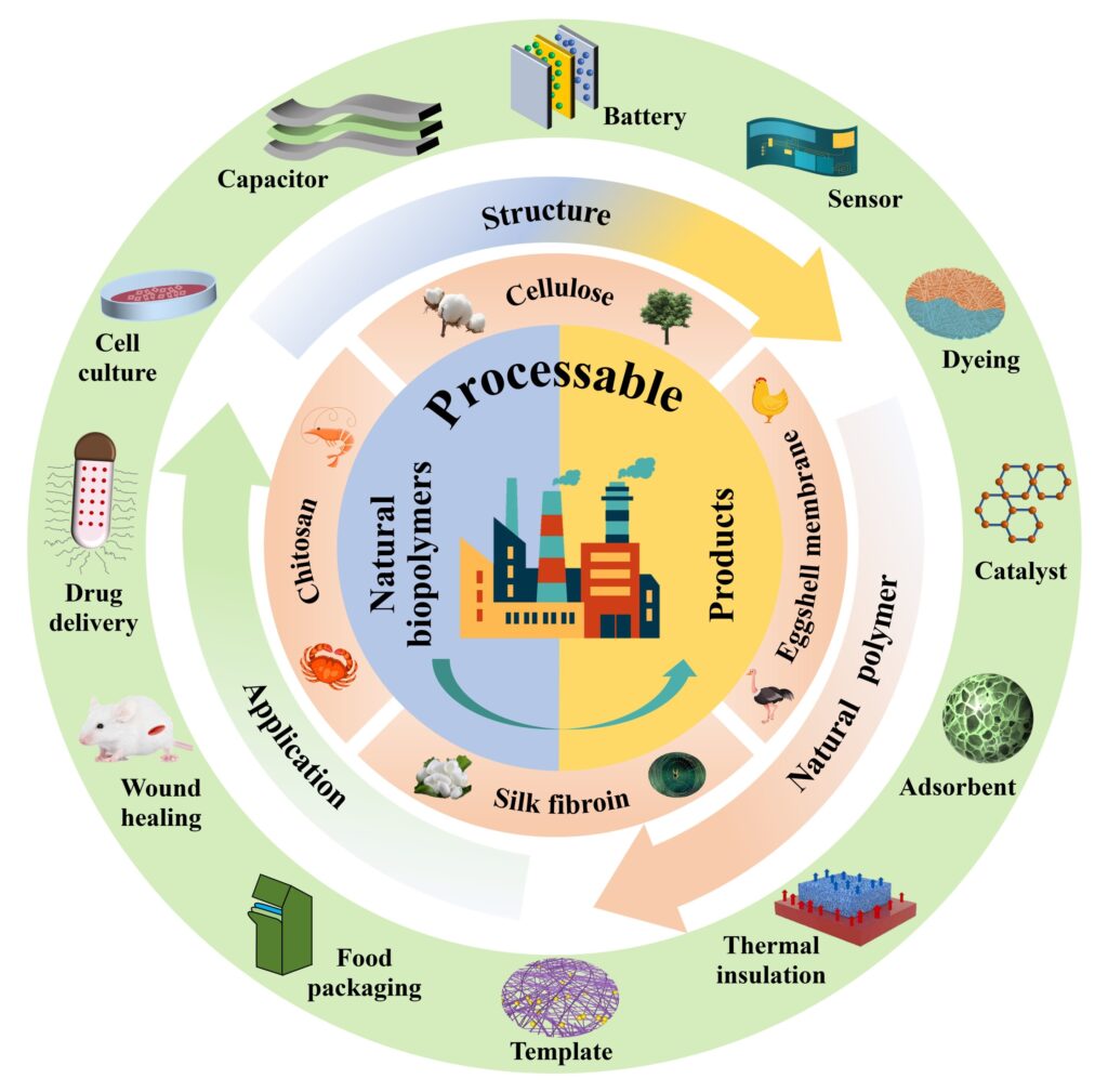 Cellulose, chitosan, eggshell membrane and silk fibroin