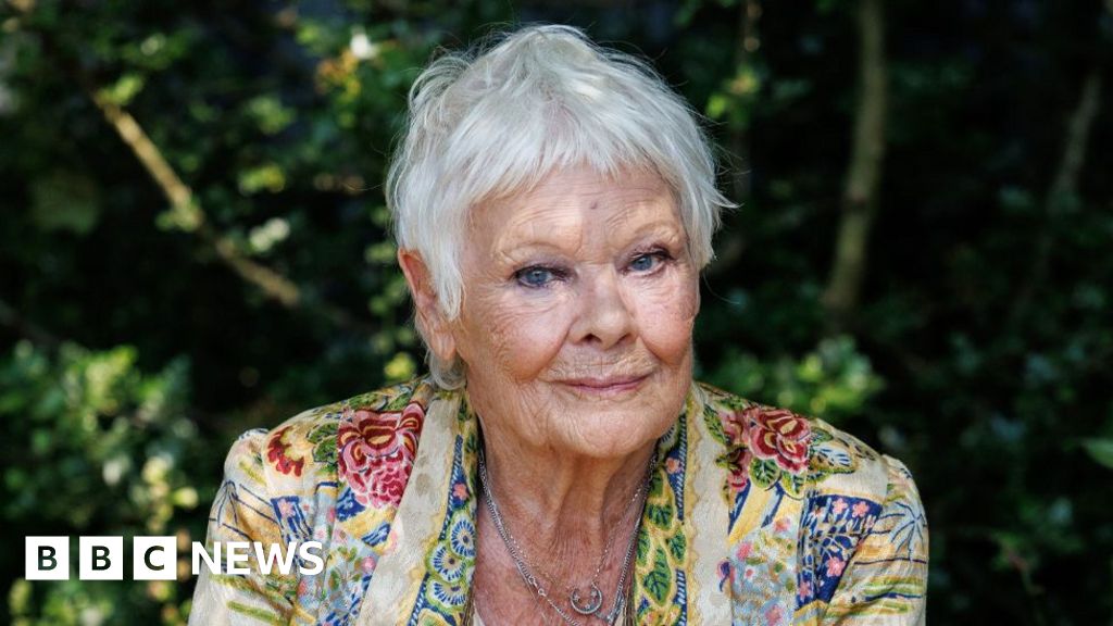 Dame Judi Dench and John Cena to voice Meta AI chatbot