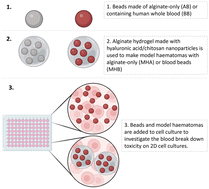 Developing an in vitro model of haematoma for study of intracerebral haemorrhage