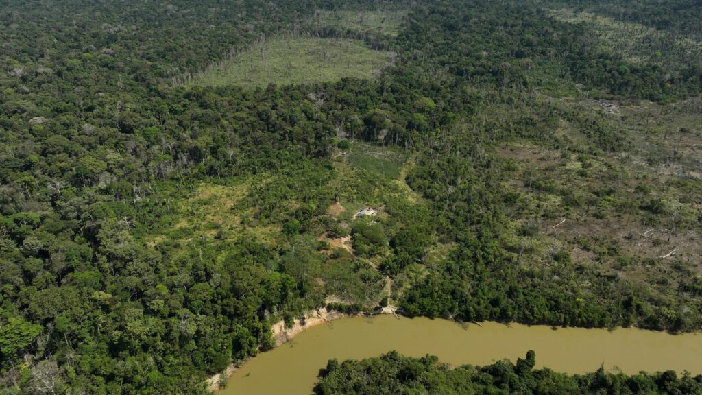 Judge in Brazil orders slaughterhouses to pay for Amazon reforestation