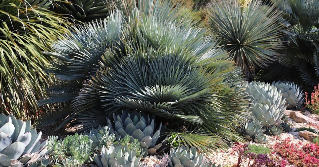 Point Defiance Zoo Botanical Garden