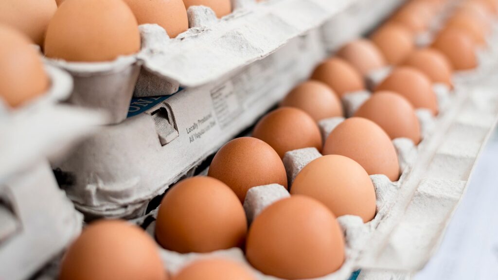 Author in Maine cracks open the truth about five common egg myths