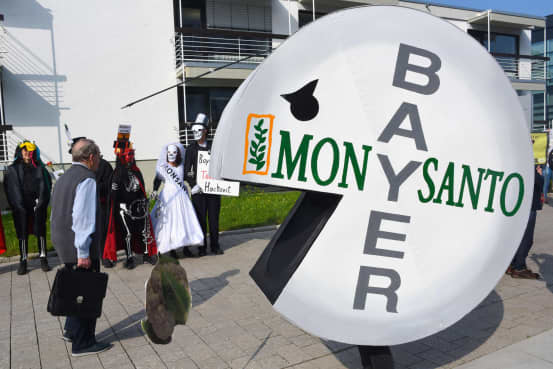 Bayer Shares Plunge After U.S. Legal Setback