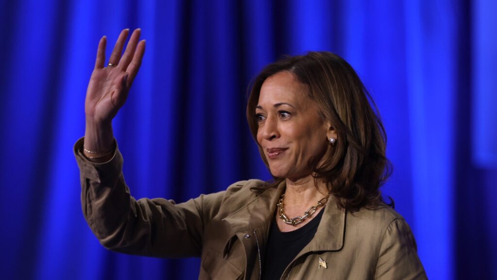 Democrats worry about Harris' cautious media approach in tight 2024 race: 'Voters deserve better'