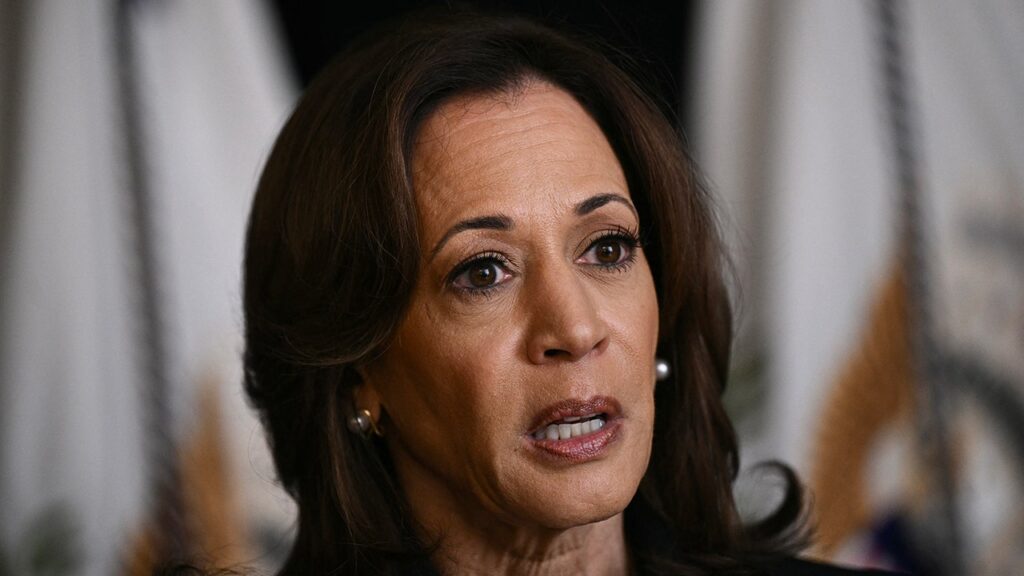 Ineffective planning, lack of connections has Harris, Dems on edge in 'key' battleground: report