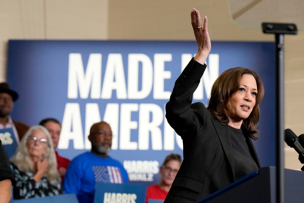 Kamala Harris 'needs' star power to 'gain momentum,' media director says: 'Nobody wants to come see her'