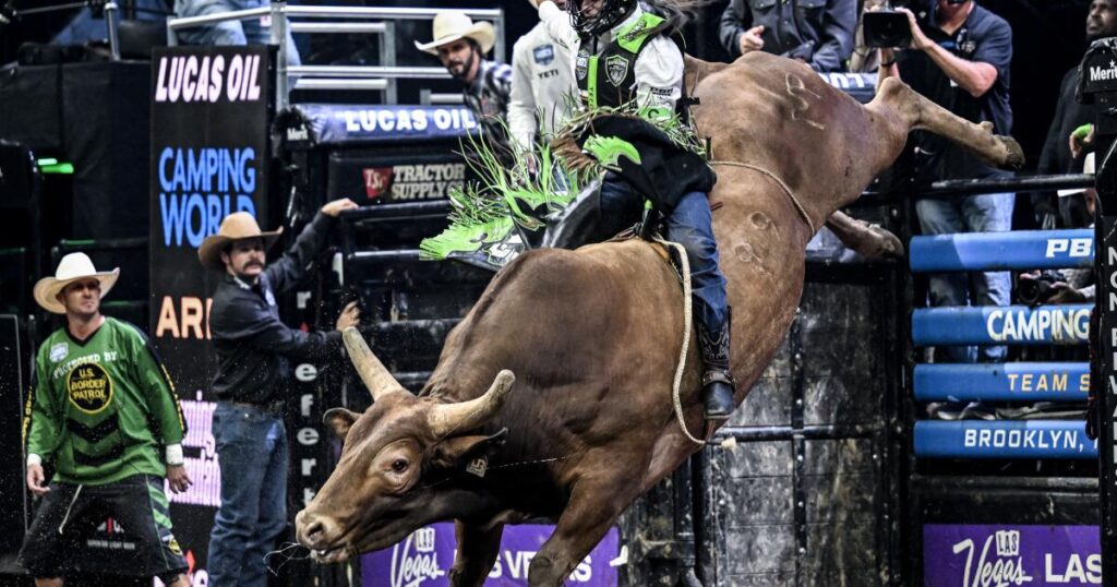 TKO to acquire Professional Bull Riders, other Endeavor assets in $3.25-billion deal