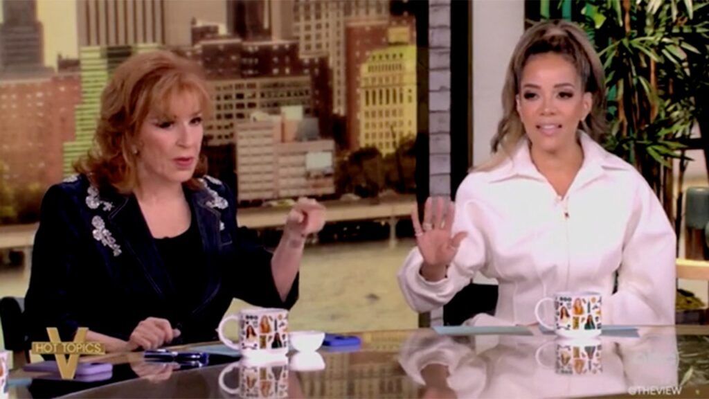 'The View' co-host says Harris 'has a problem with men,' fellow hosts say 'they have a problem with her'