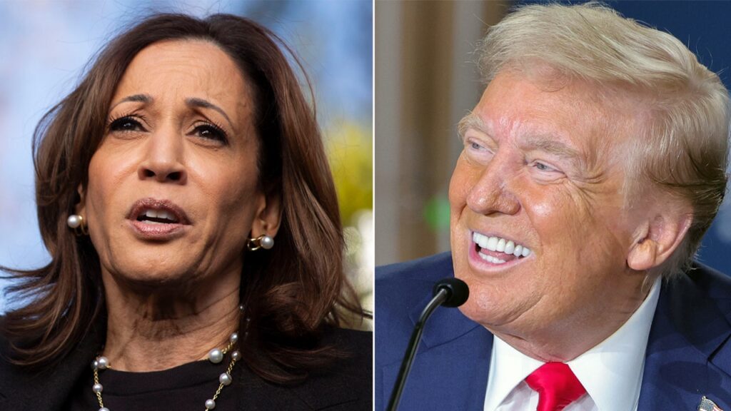 Trump with slight edge over Harris in this crucial western battleground: poll