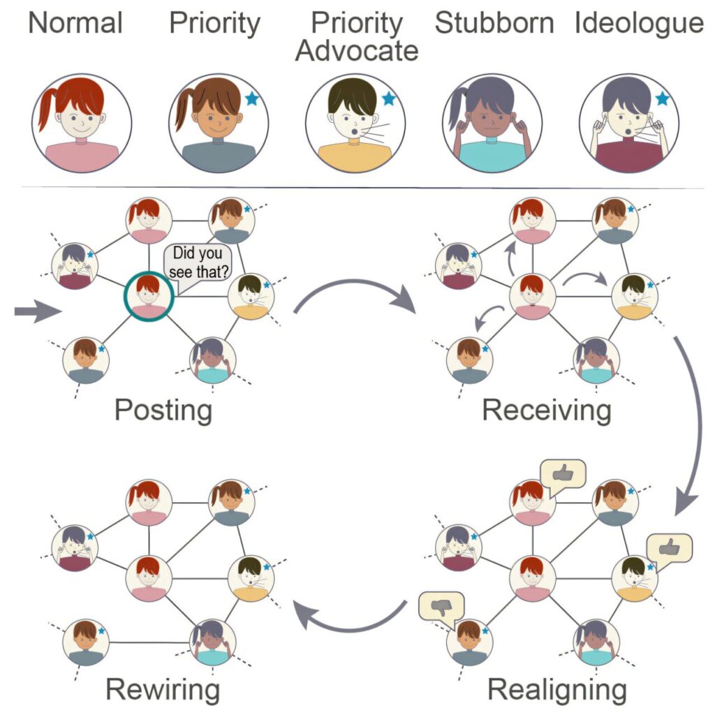 Verified users on social media networks drive polarization and the formation of echo chambers, study finds