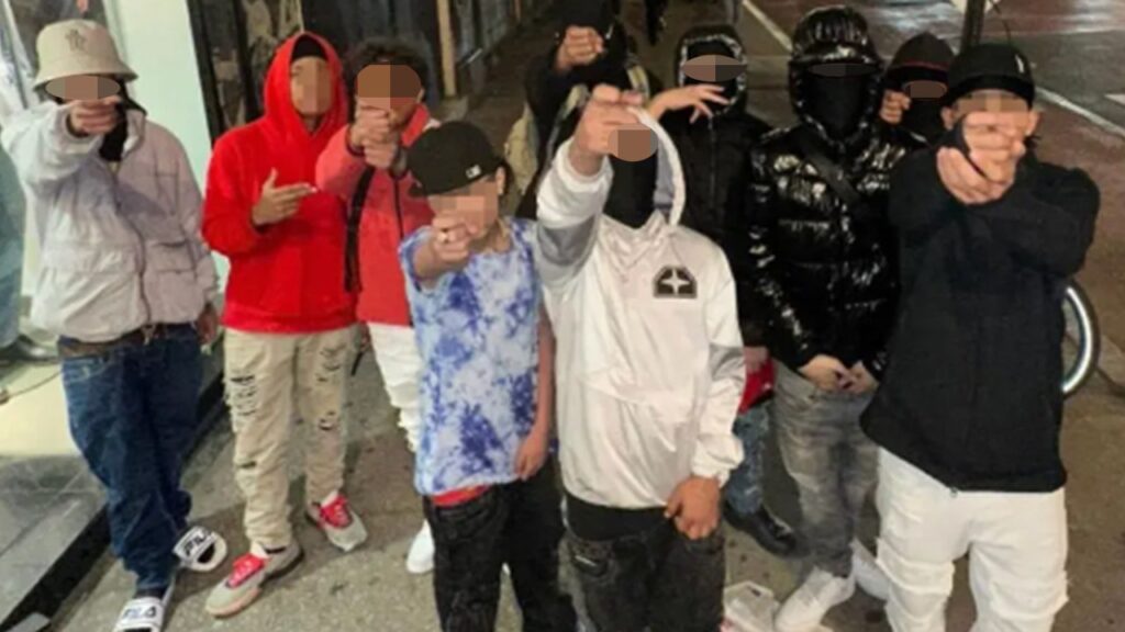 Young migrants tied to 'shocking' increase in gang-led crime in NYC's Times Square, says NYPD