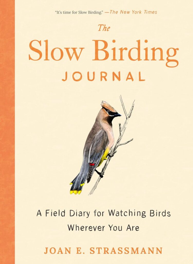 'the slow birding journal,' with joan strassmann