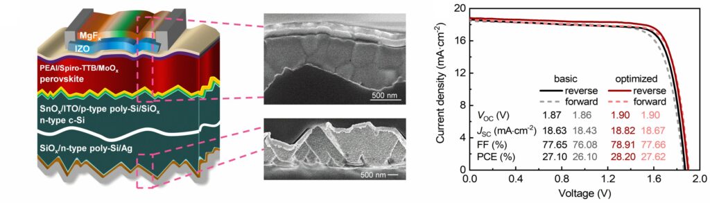 Researchers develop highly passivated TOPCon bottom cells for perovskite/silicon tandem solar cells