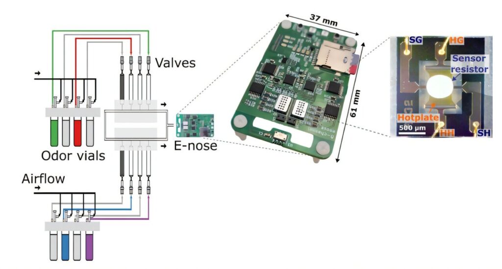 Tiny electronic nose rivals animal scent detection