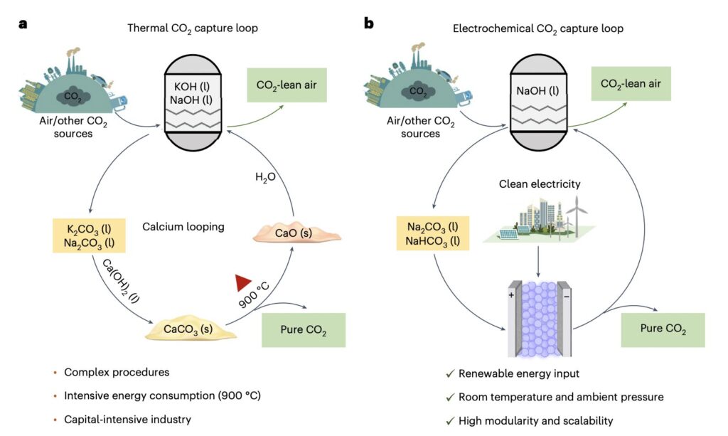 One-step electrochemical regeneration of CO₂ from (bi)carbonates enhances carbon capture efficiency