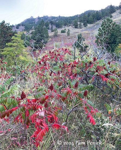 A fall hike at Eldorado Canyon