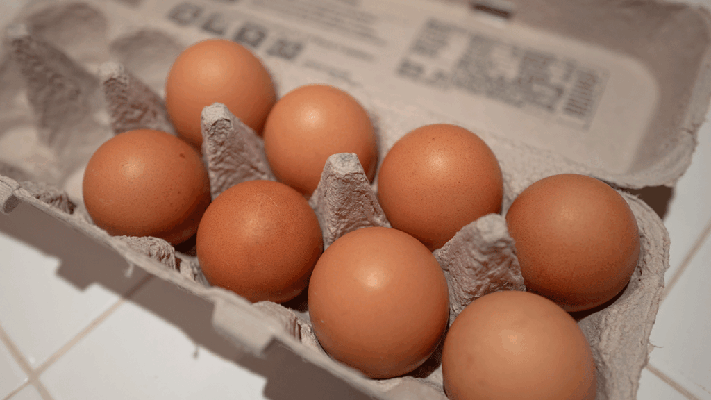 Egg-cracking process in factory captured on video