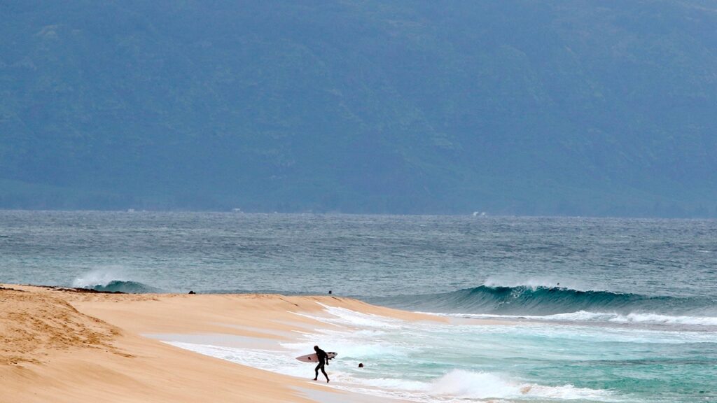 Hawaii surfer's leg severed in shark attack off Maui, authorities say