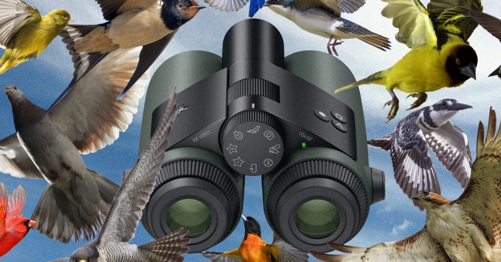 I Went Birding With the World’s First AI-Powered Binoculars