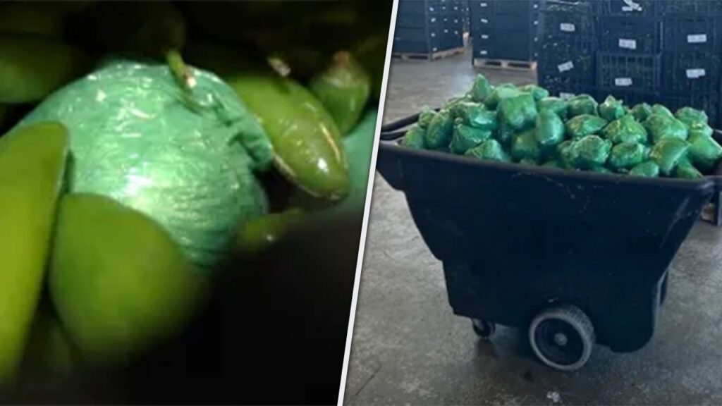 More than $31M in meth concealed in shipment of peppers seized at Texas border