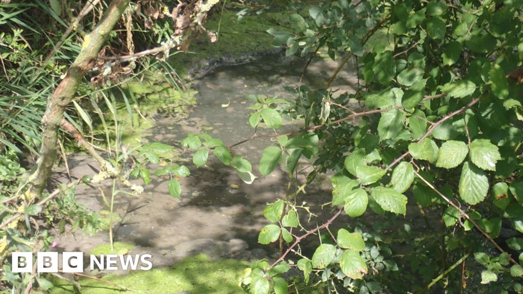 Wessex Water fined £500,000 over sewage leaks that killed fish