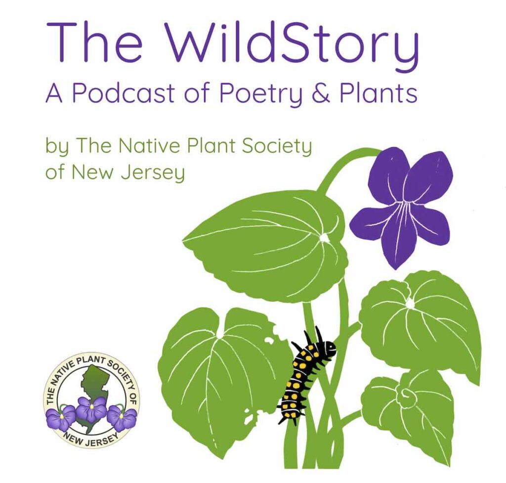 poetry and nature combine in 'the wildstory' podcast