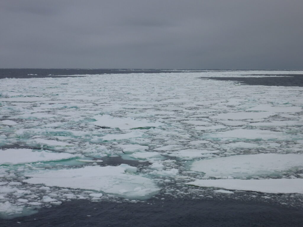 Antarctica's irregular rhythms show signs of rapid melting, say geoscientists