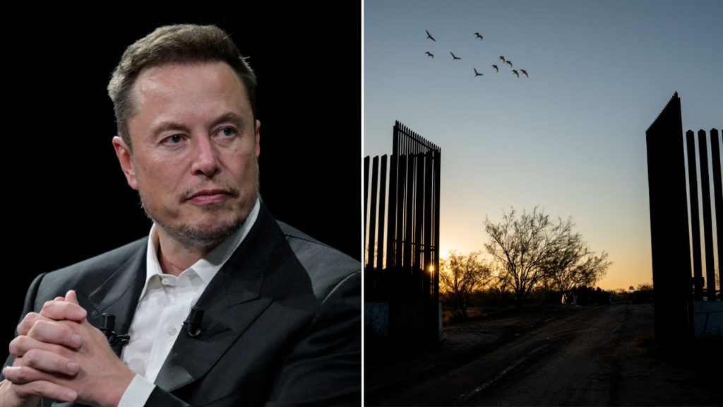 Elon Musk bashes government spending on illegal immigrants: ‘boggles the mind!’