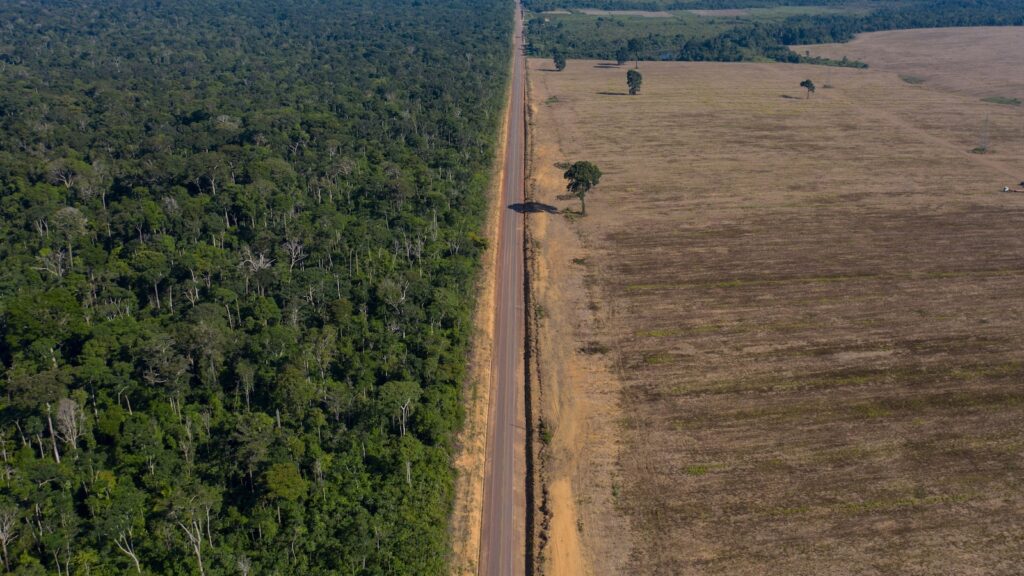 Environmental groups condemn new laws threatening soybean restrictions in Brazil's Amazon