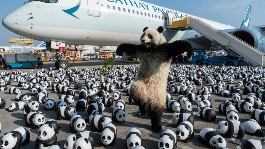 Hong Kong will display 2,500 panda sculptures to capitalize on a local bear craze