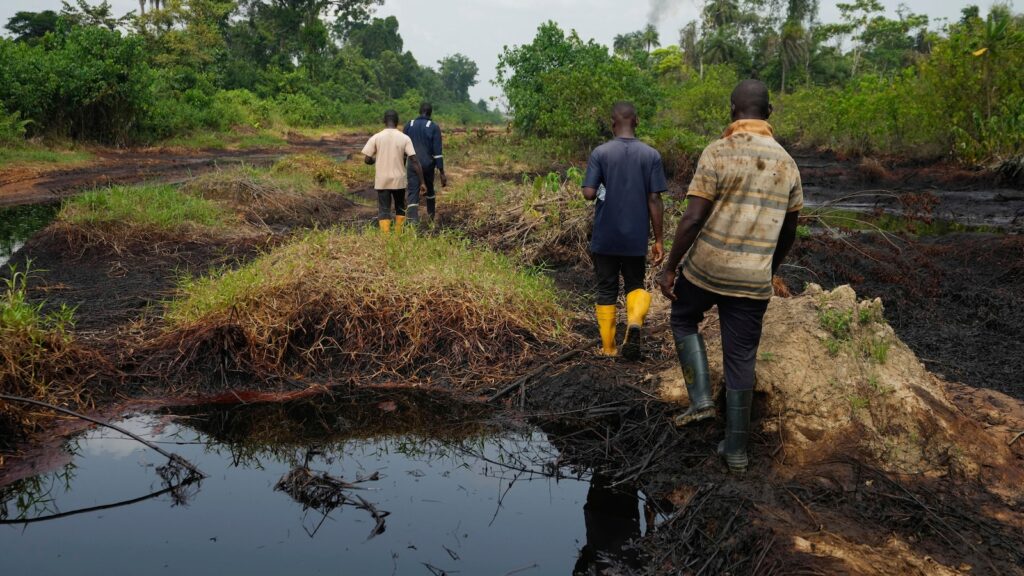 Nigerian agency 'failed completely' to clean up oil damage despite funding, leaked files say