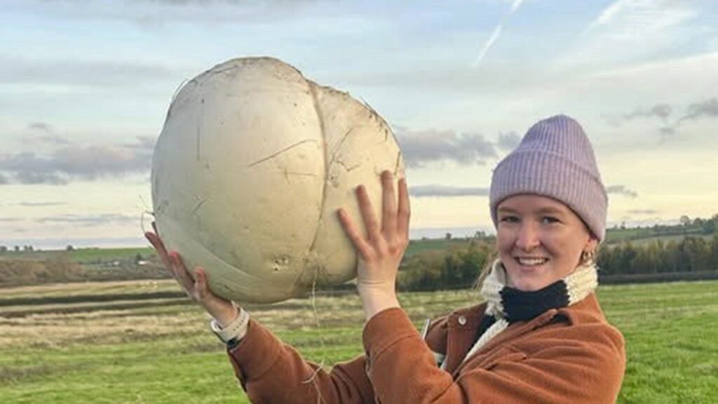 Woman finds 11-pound mushroom, feeds family for a week as experts share warnings