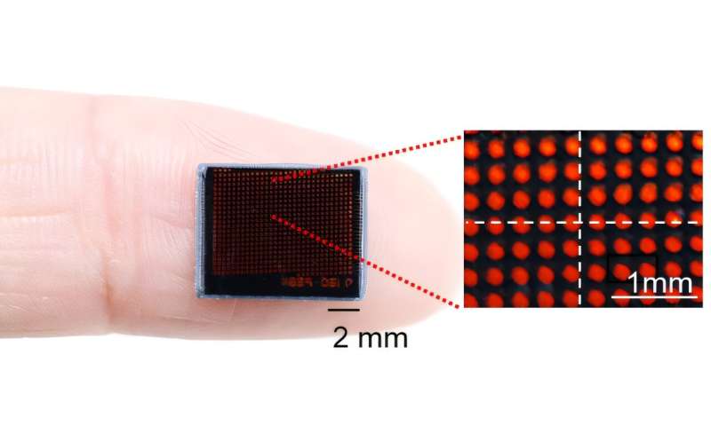 Insect-eye-inspired camera captures 9,120 frames per second